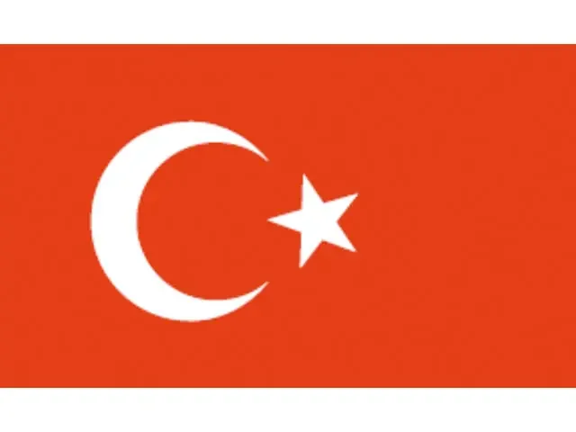 Neuheit Talamex Flagge Türkei (verschiedene Größen)