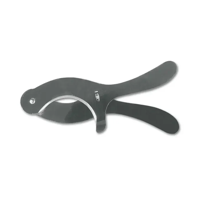 Seeigel-Schale aus ImersionEdelstahl